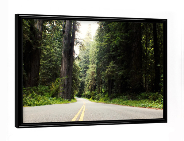 Poster mit schwarzem Rahmen "Redwood Highway, California" artboxONE - Natur,Reise,Reise / Länder