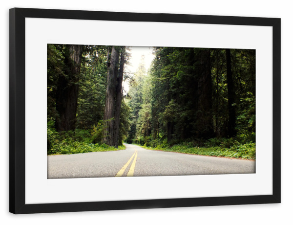 Poster mit Rahmen schwarz "Redwood Highway, California" artboxONE - Natur,Reise,Reise / Länder