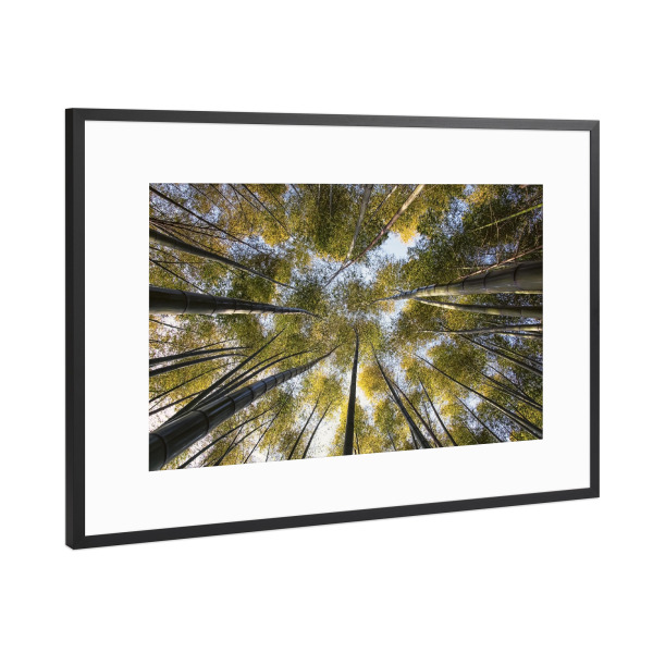 Poster mit Rahmen Schwarz (Metallic) "Bamboo forest" artboxONE - Städte,Natur,Reise,Reise / Asien,Reise / Länder
