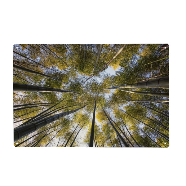 Holzbild "Bamboo forest" artboxONE - Städte,Natur,Reise,Reise / Asien,Reise / Länder