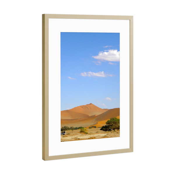 Poster mit Rahmen Gold "Deadvlei, Namib" artboxONE - Natur,Reise / Afrika