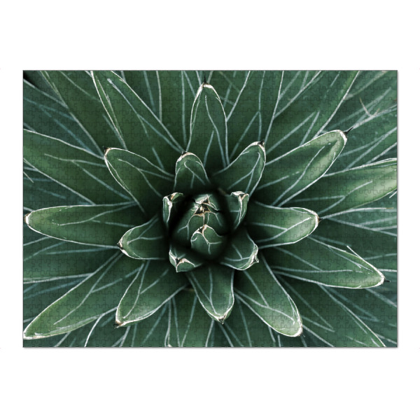 Puzzle Ravensburger "Grüne Agave mit weißen Streifen" artboxONE - Natur,Floral,Abstrakt