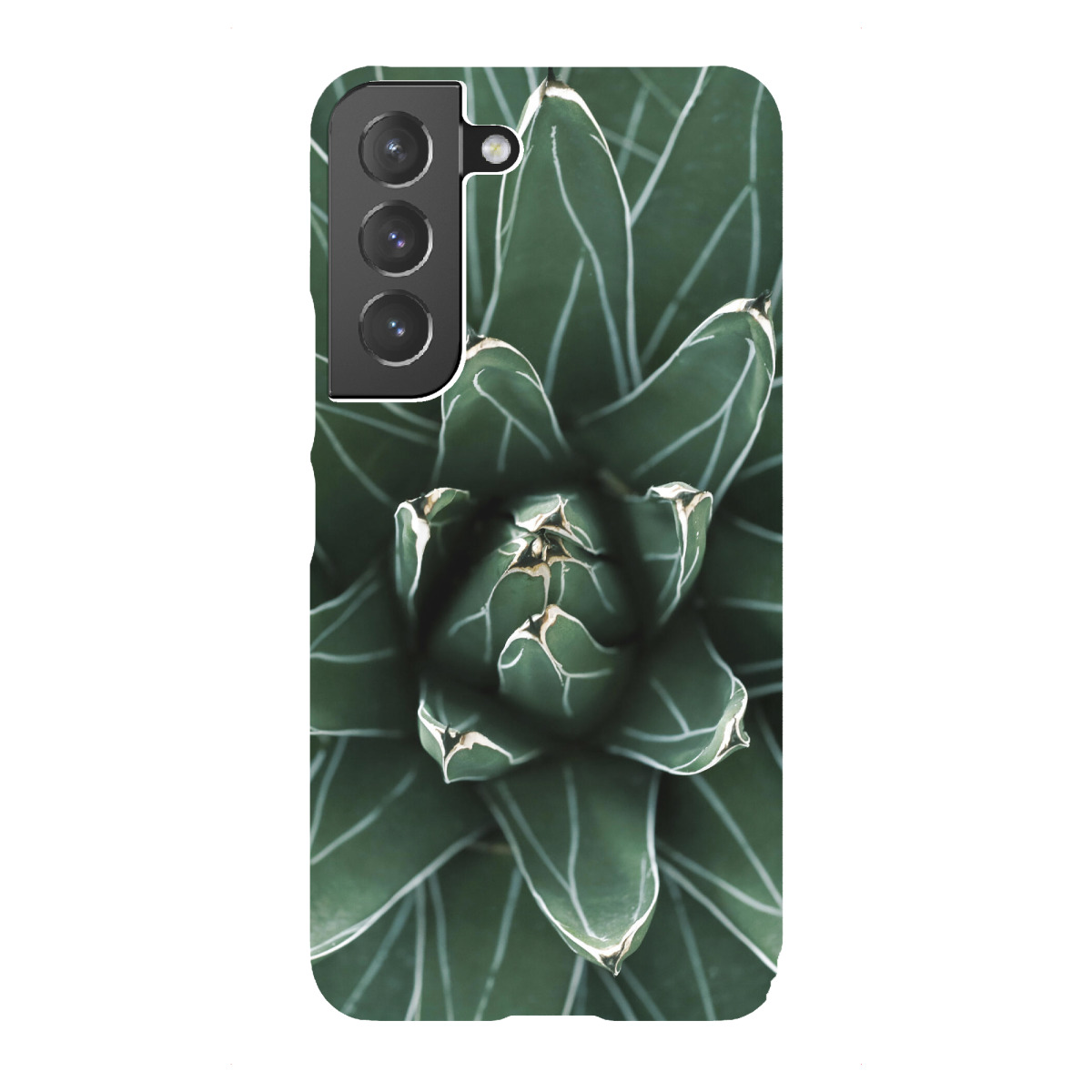 "Grüne Agave mit weißen Streifen"für Samsung Galaxy - Premium-Case Handyhülle artboxONE