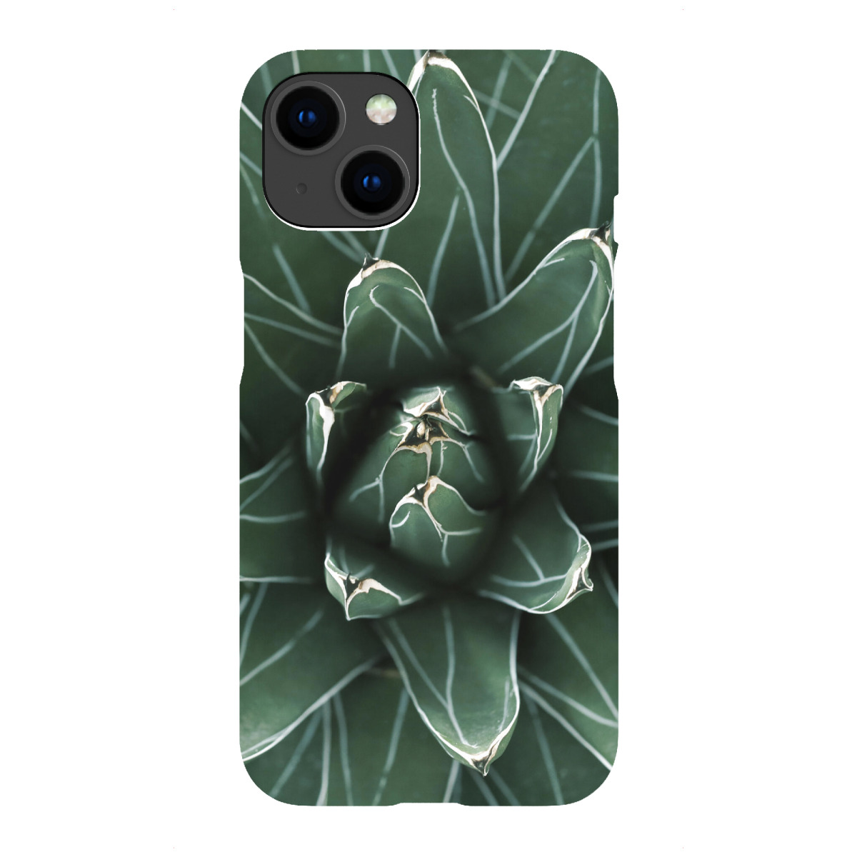 iPhone "Grüne Agave mit weißen Streifen" Premium-Case Handyhülle artboxONE