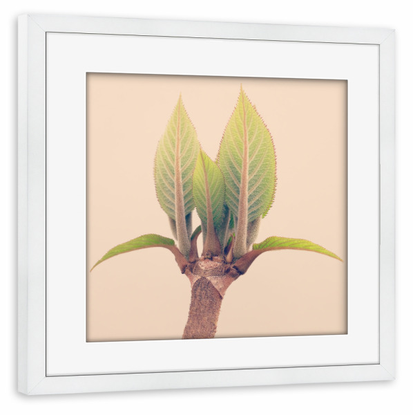 Poster mit Rahmen weiß "Green Hope" artboxONE - Natur,Floral,Abstrakt,Liebe