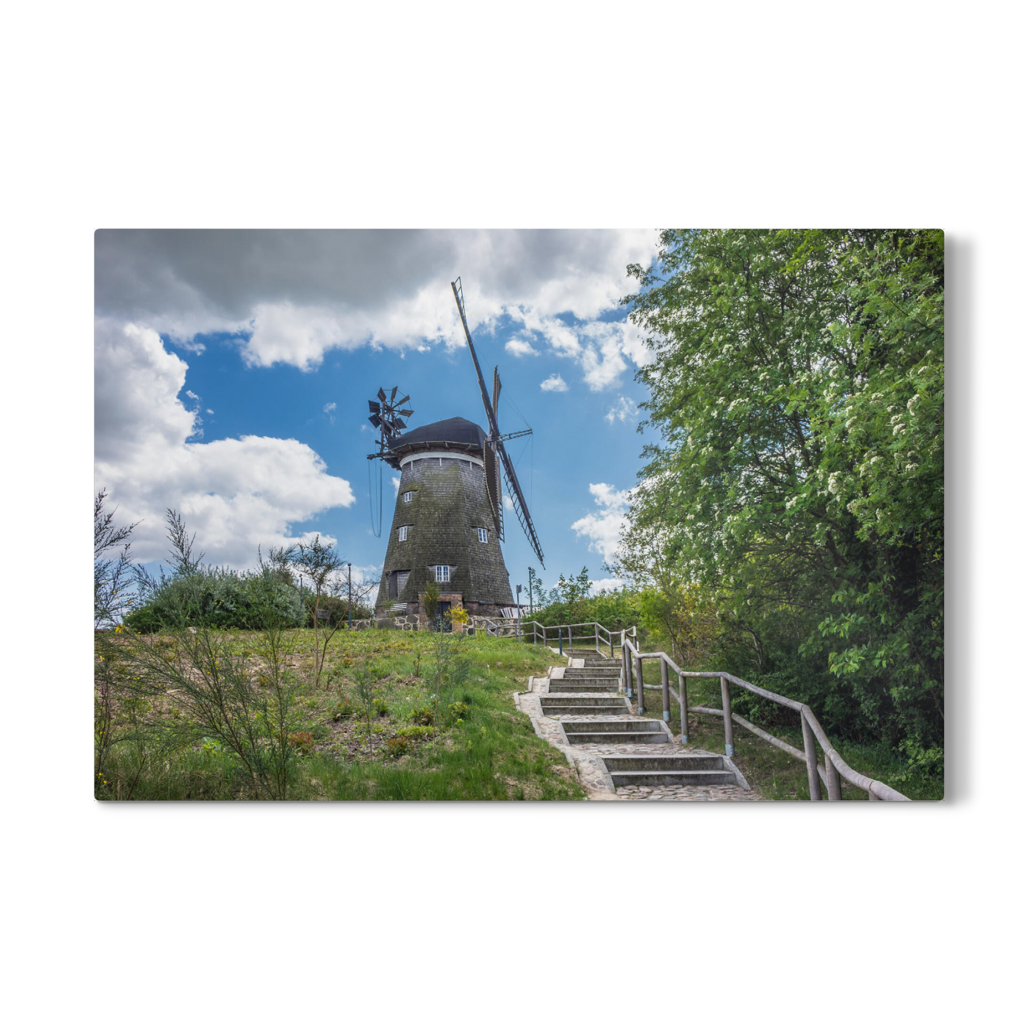Galerie-Print "Windmühle in Benz" 75x50 cm artboxONE
