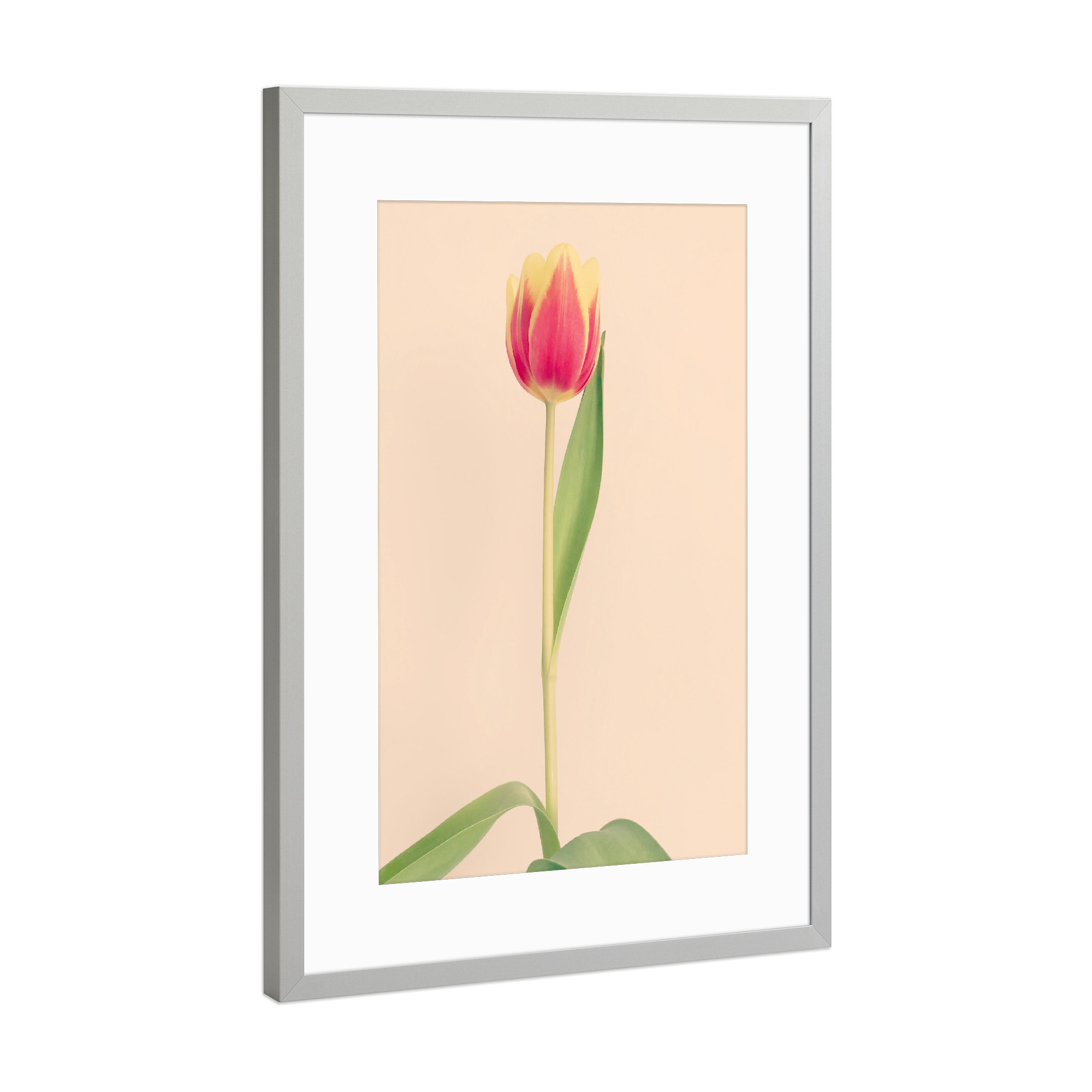 Poster mit Rahmen Silber "Mon Amour" artboxONE - Natur,Floral,Liebe - Tulpe,Tulip,Natur,Frühling,Blume,Flower,Botanical,Botanisch,Plant,Pflanze