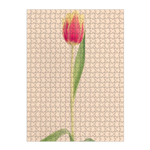 Puzzle Ravensburger "Mon Amour" artboxONE - Natur,Floral,Liebe - Tulpe,Tulip,Natur,Frühling,Blume,Flower,Botanical,Botanisch,Plant,Pflanze