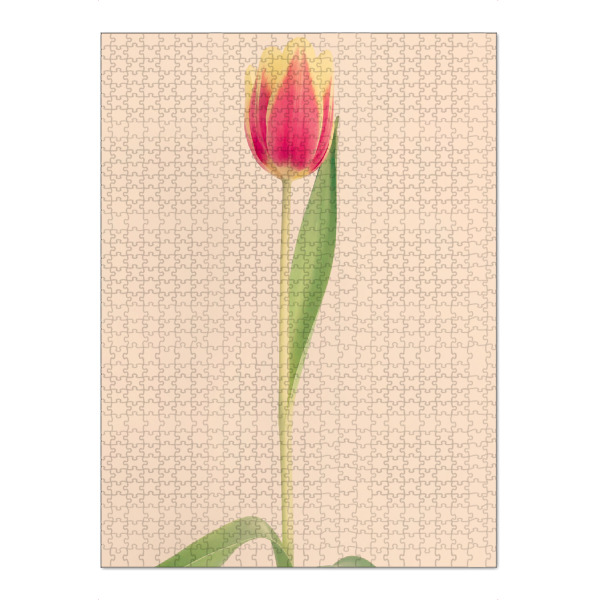 Puzzle Ravensburger "Mon Amour" artboxONE - Natur,Floral,Liebe - Tulpe,Tulip,Natur,Frühling,Blume,Flower,Botanical,Botanisch,Plant,Pflanze