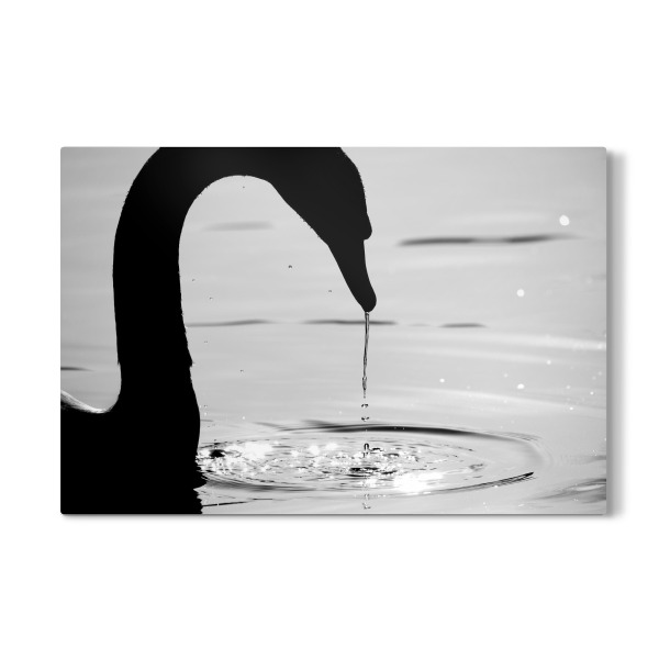 Galerie-Print "Silent Waters" 30x20 cm artboxONE