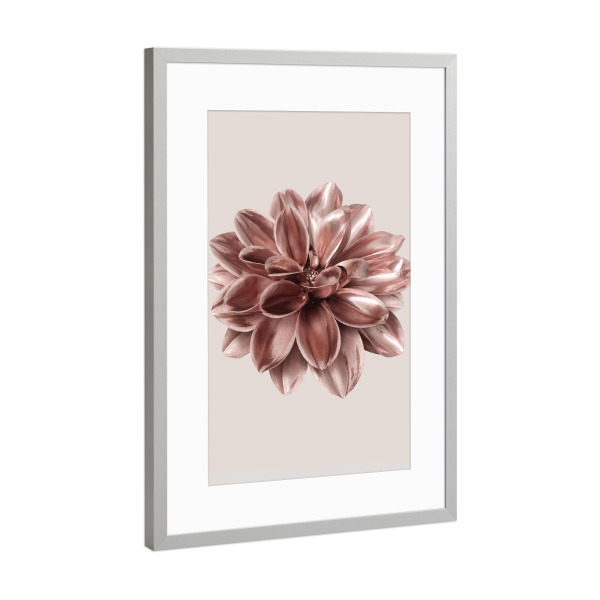 Poster mit Rahmen Silber "Dahlie in Roségold" artboxONE - Natur,Floral