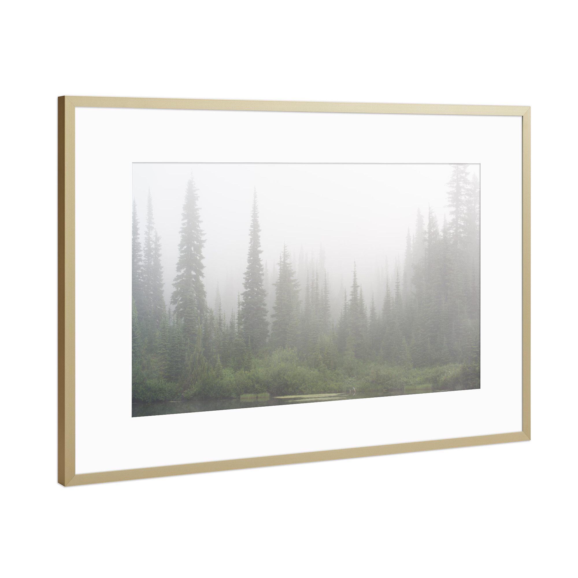 Poster mit Rahmen Gold "Dense fog in Mt. Rainier Park" artboxONE - Natur