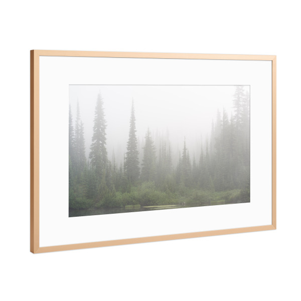 Poster mit Rahmen Kupfer "Dense fog in Mt. Rainier Park" artboxONE - Natur