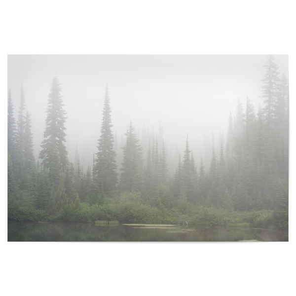 Poster "Dense fog in Mt. Rainier Park" artboxONE - Natur