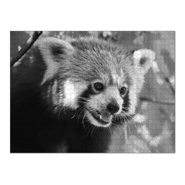Puzzle Ravensburger "Roter Panda Portrait sw" artboxONE - Natur,Tiere,Schwarzweiß