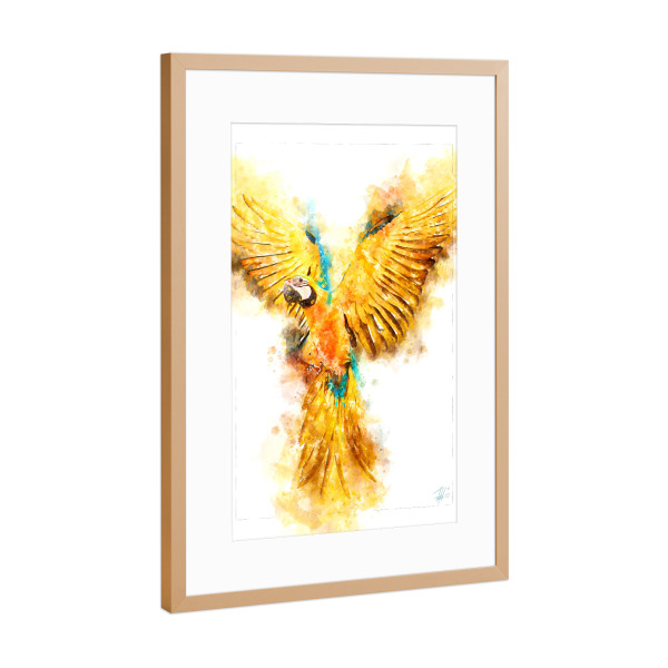 Poster mit Rahmen Kupfer "Gelber Papagei" artboxONE - Natur,Reise,Tiere