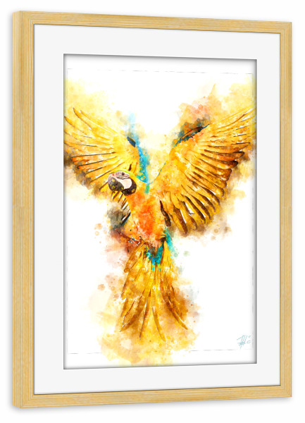 Poster mit Rahmen kiefer "Gelber Papagei" artboxONE - Natur,Reise,Tiere