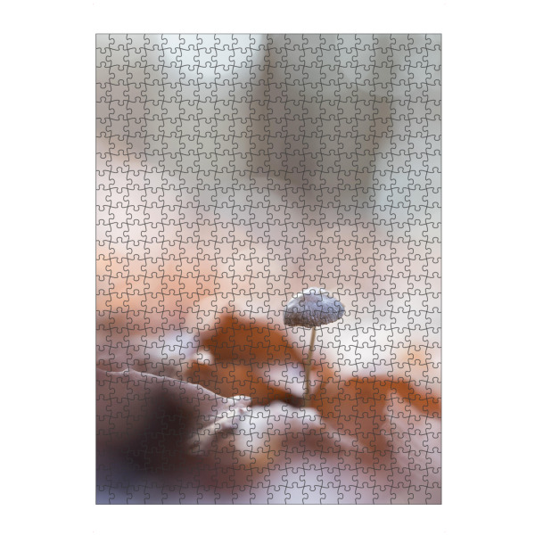 Puzzle Ravensburger "Pilz im Wald" artboxONE - Natur - Pilzchen,Klein,Winzig,Wald,Laub,Herbst,Nahaufnahme,Makrofotografie,Bokeh,Forest,Pilz,Mushroom