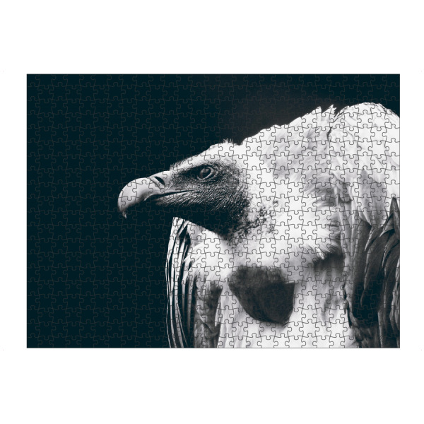 artboxONE Puzzle "Vulture" artboxONE - Tiere,Schwarzweiß - Geier,Greifvigel,Tier,Schwarzweiß,Mönchsgeier,Hässlich,Animal,Bird,Blackandwhite