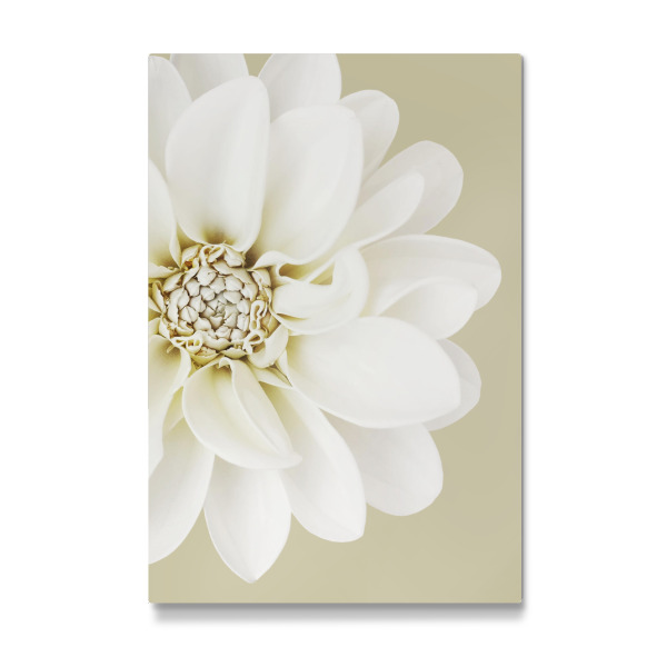 Galerie-Print "White Flower Love" 30x20 cm artboxONE