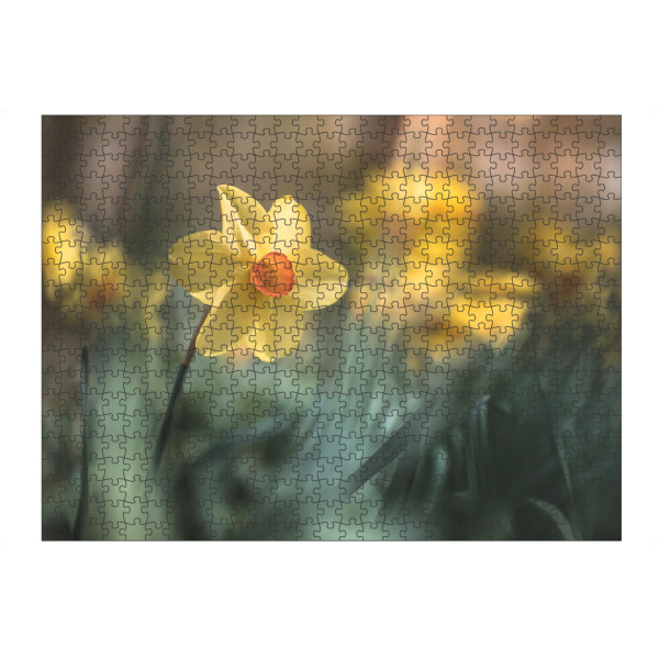 artboxONE Puzzle "Osterglocke" artboxONE - Natur,Floral