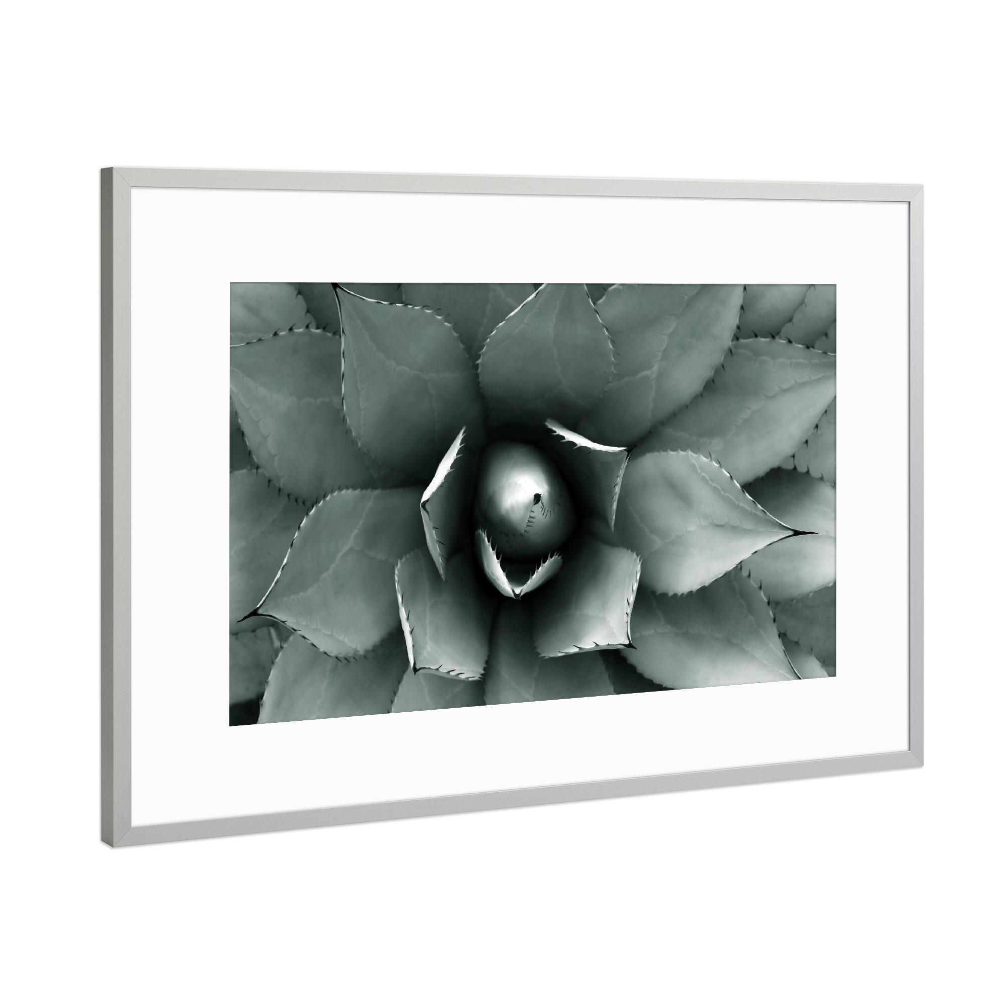 Poster mit Rahmen Silber "Agave blau-grün" artboxONE - Natur,Floral,Abstrakt