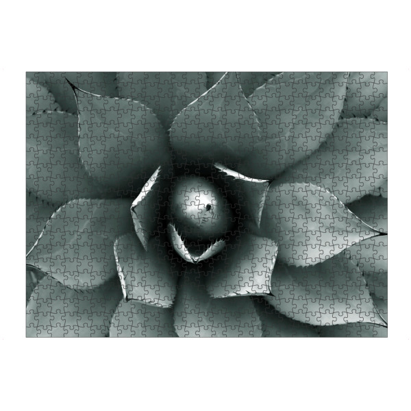 artboxONE Puzzle "Agave blau-grün" artboxONE - Natur,Floral,Abstrakt