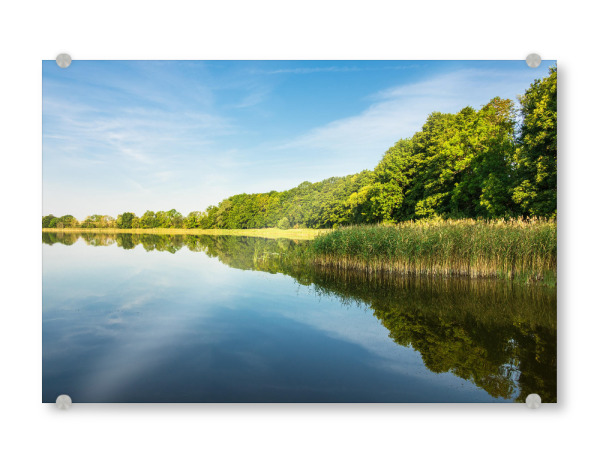 Acrylglasbild "Bäume am See" artboxONE - Natur,Reise