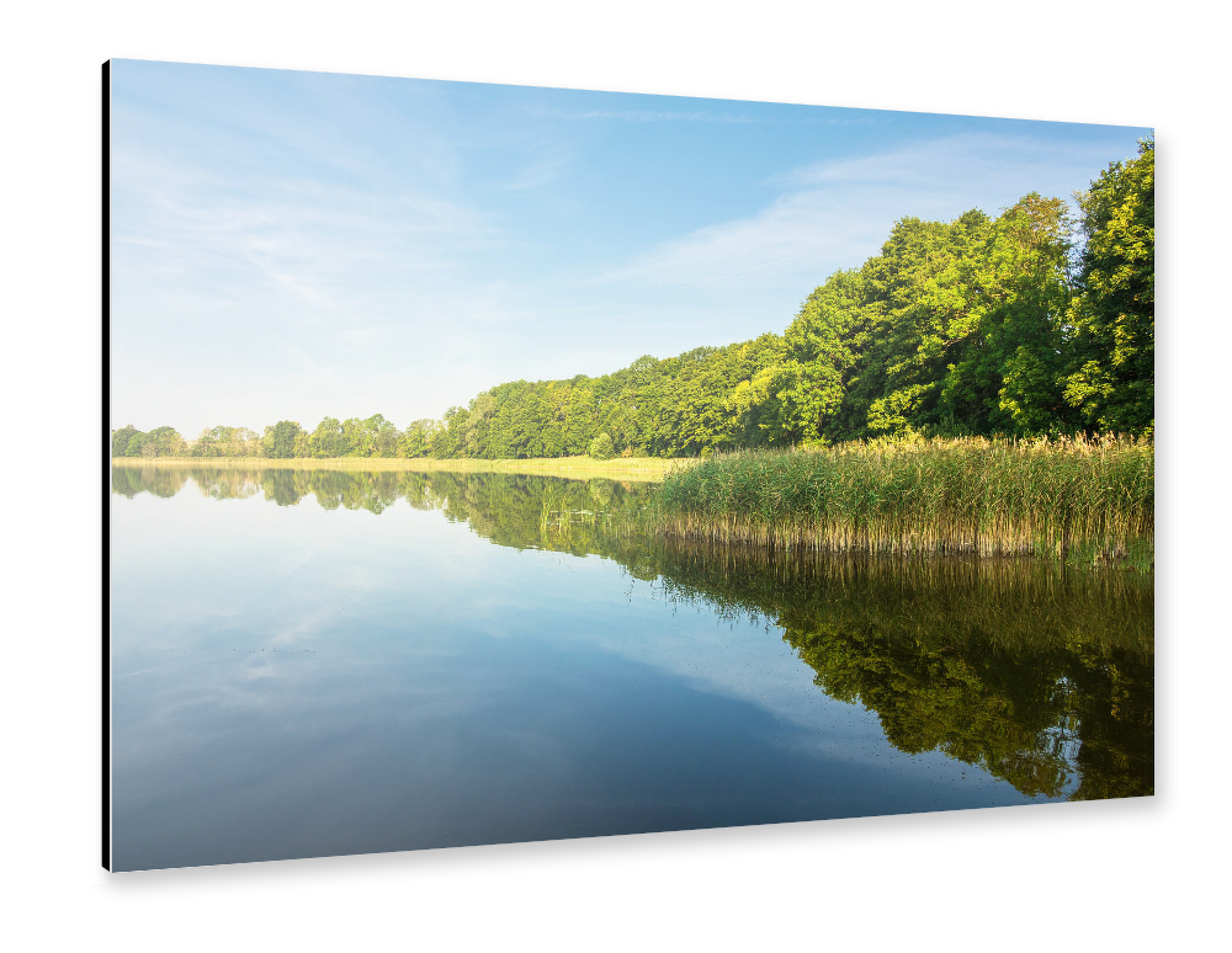 Alu-Dibond "Bäume am See" 30x20 cm artboxONE