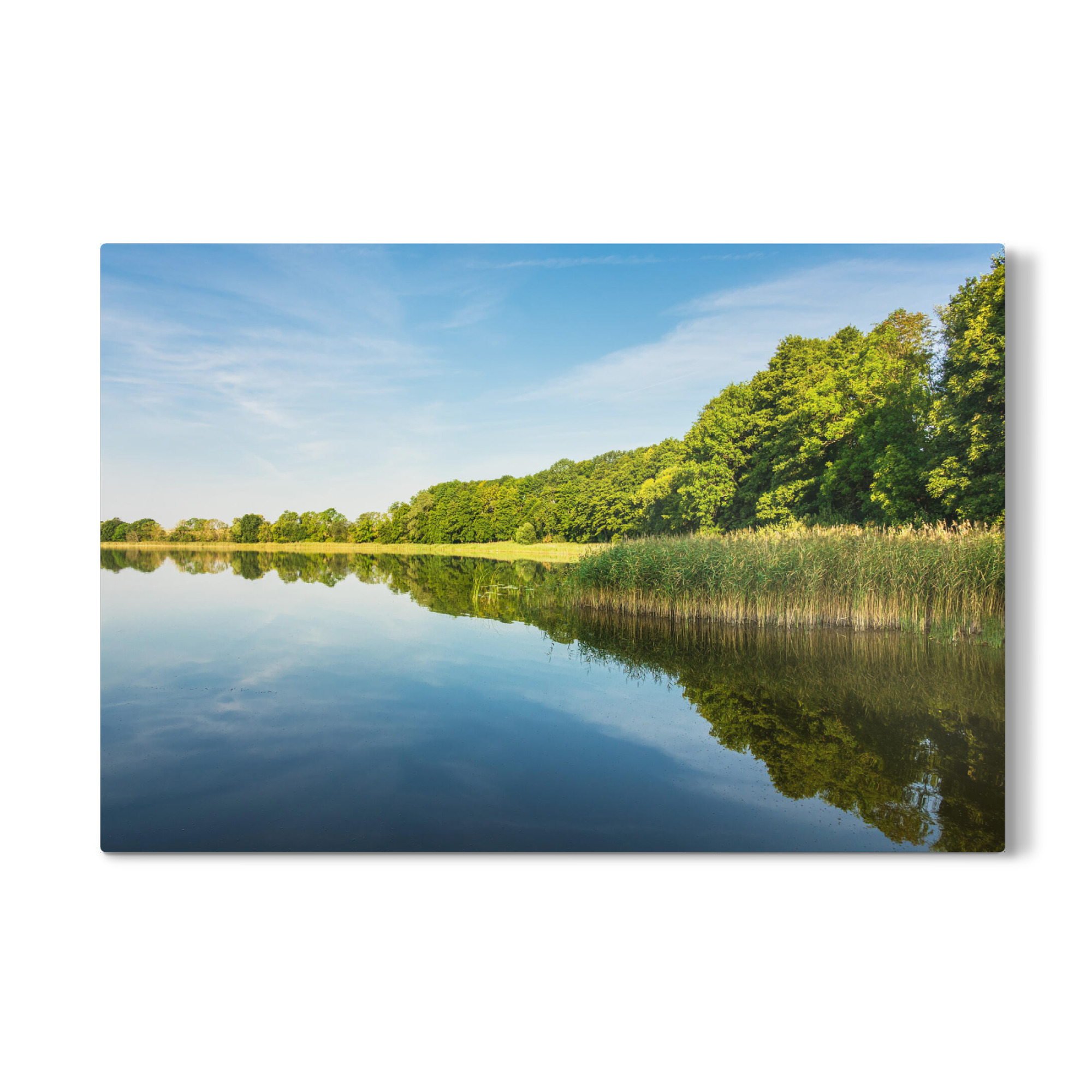 Galerie-Print "Bäume am See" 75x50 cm artboxONE