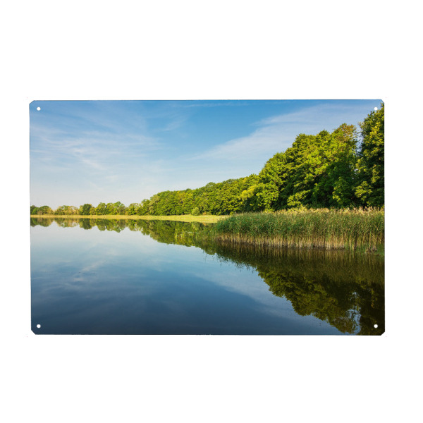 Metall Poster "Bäume am See" artboxONE - Natur,Reise