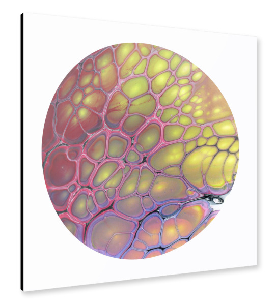Alu-Dibond "Colorful Cells" 30x30 cm artboxONE