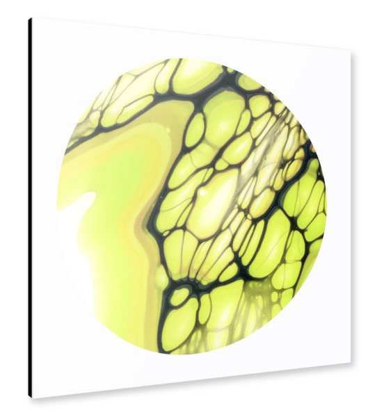 Alu-Dibond "Art the Wing" 30x30 cm artboxONE