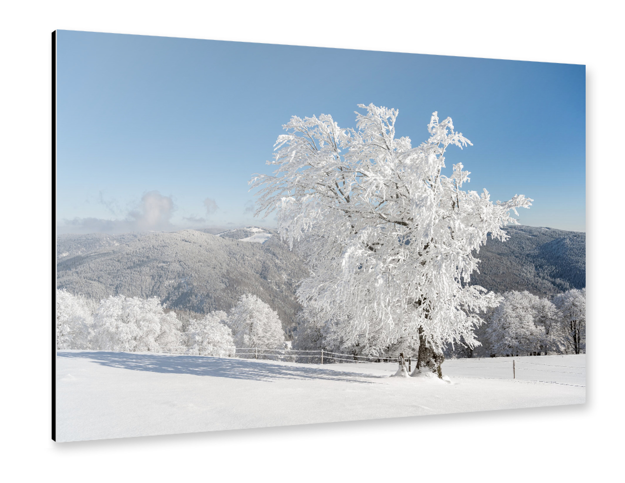 Alu-Dibond "Winterbaum im Schwarzwald" 75x50 cm artboxONE