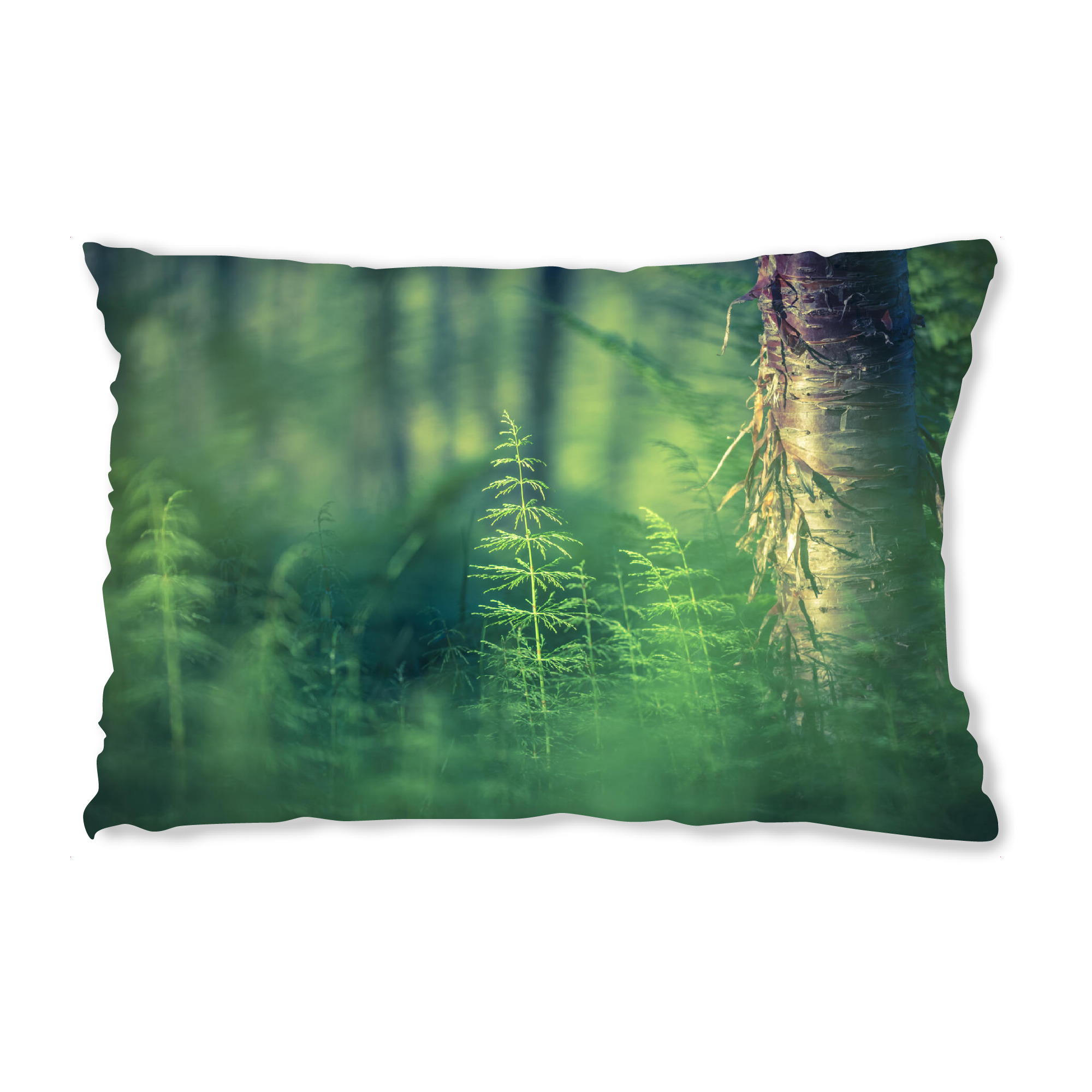 Design-Kissen "Schachtelhalm" artboxONE - Natur