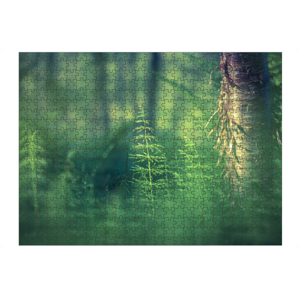 artboxONE Puzzle "Schachtelhalm" artboxONE - Natur