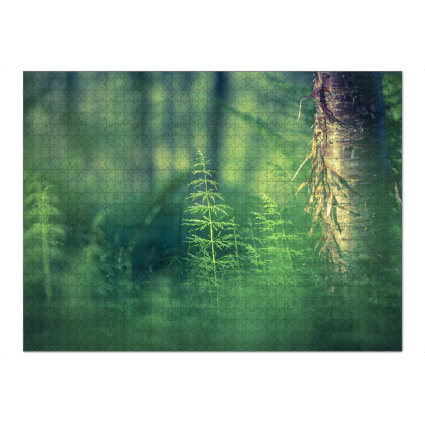 Puzzle Ravensburger "Schachtelhalm" artboxONE - Natur