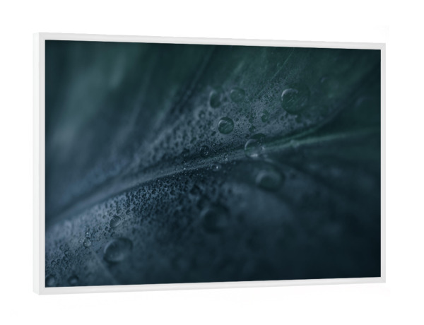 Poster mit weißem Rahmen "Dark drops" artboxONE - Floral