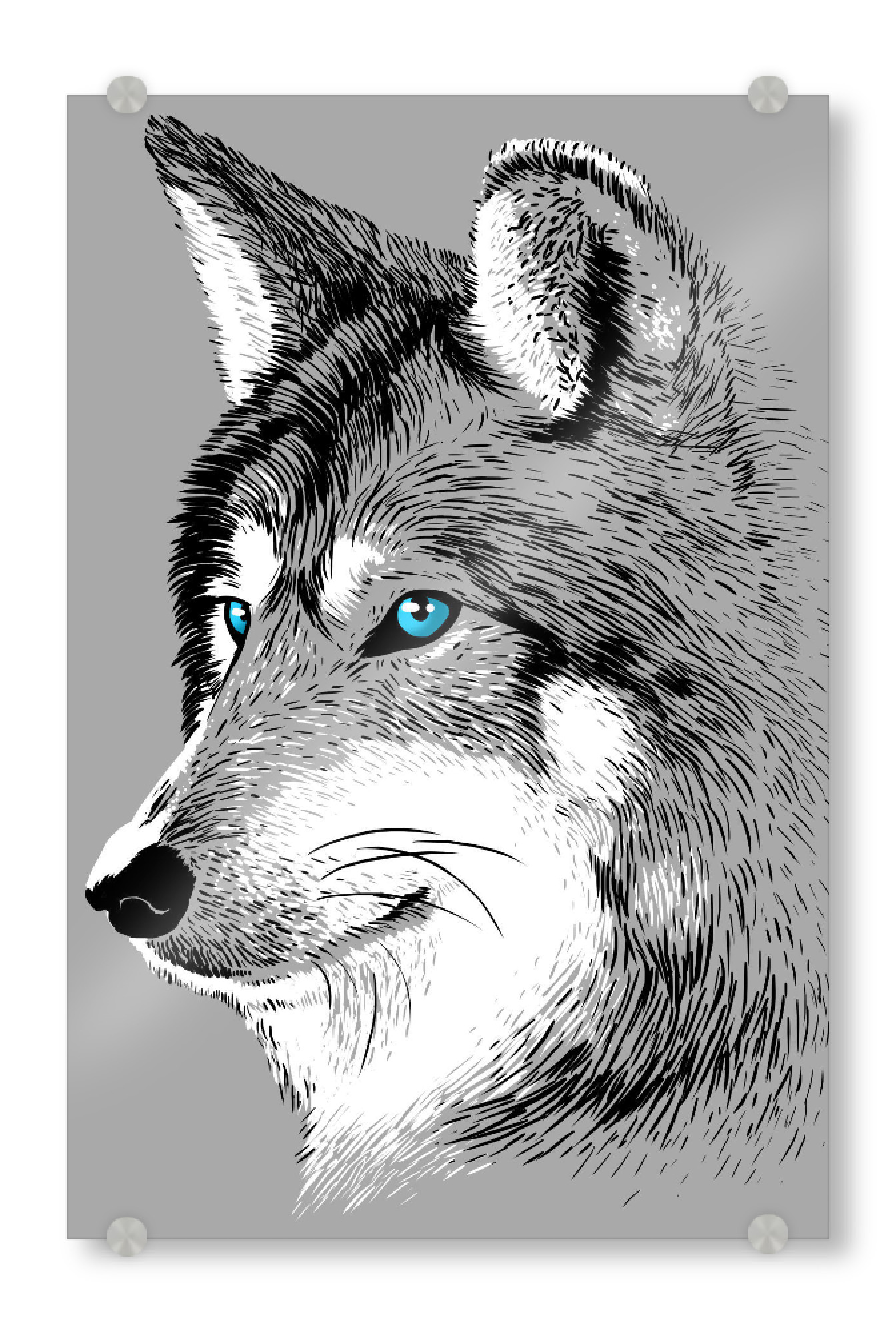 Acrylglasbild "Sketch Wolf" artboxONE - Tiere,Comic - Wolf,Wolves,Sketch,Tier,Animal,Comic,Portrait