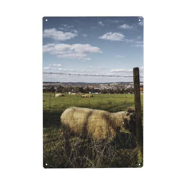 Metall Poster "Bucolism e" artboxONE - Natur,Tiere
