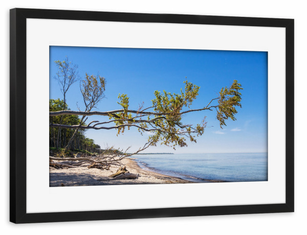 Poster mit Rahmen schwarz "Baum waagerecht" artboxONE - Natur,Reise,Reise / Strand und Meer