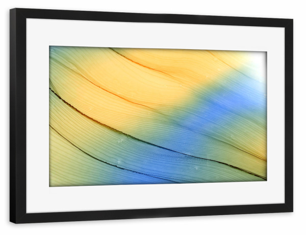 Poster mit Rahmen schwarz "Light - Gelb n Blau" artboxONE - Abstrakt