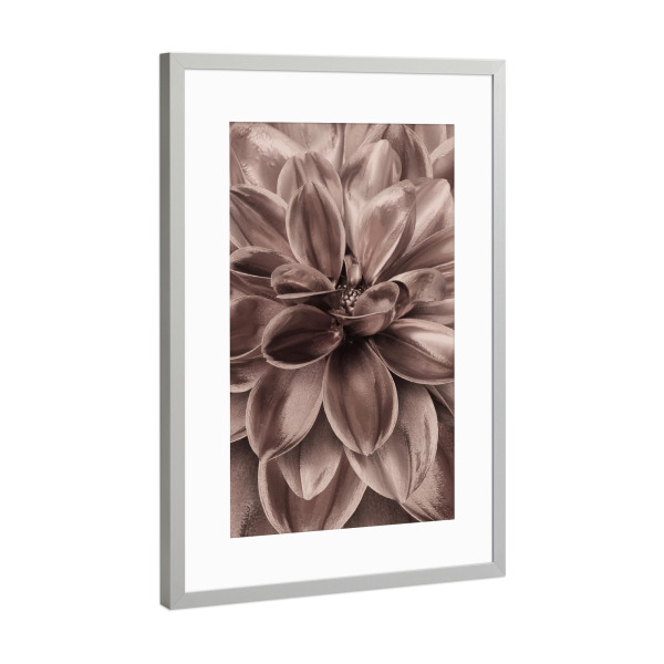 Poster mit Rahmen Silber "Flower in Rosegold" artboxONE - Natur,Floral