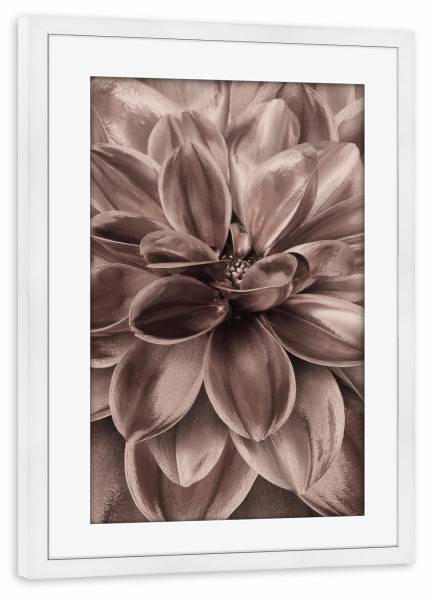 Poster mit Rahmen weiß "Flower in Rosegold" artboxONE - Natur,Floral