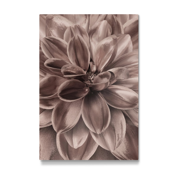 Galerie-Print "Flower in Rosegold" 30x20 cm artboxONE