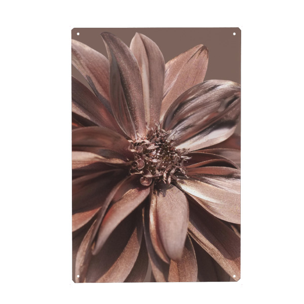 Metall Poster "Blume in Rosegold Love" artboxONE - Natur,Floral