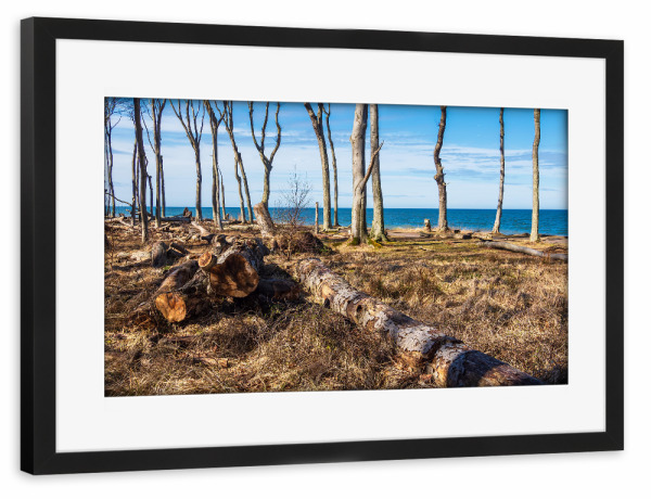 Poster mit Rahmen schwarz "Bäume und Baumstämme" artboxONE - Natur,Reise,Reise / Strand und Meer