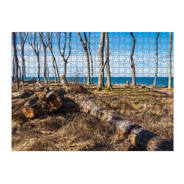 artboxONE Puzzle "Bäume und Baumstämme" artboxONE - Natur,Reise,Reise / Strand und Meer
