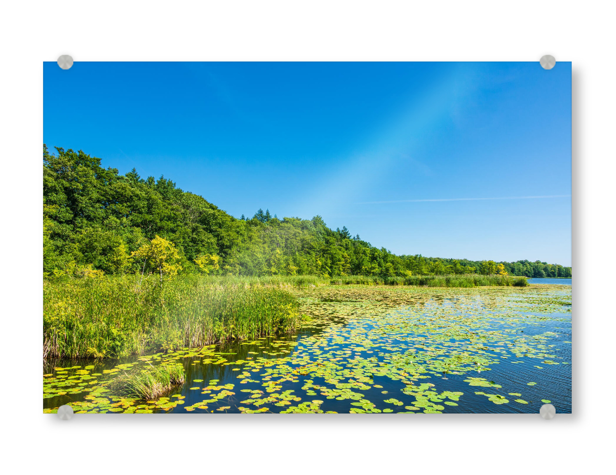 Acrylglasbild "See und Seerosen" artboxONE - Natur,Floral