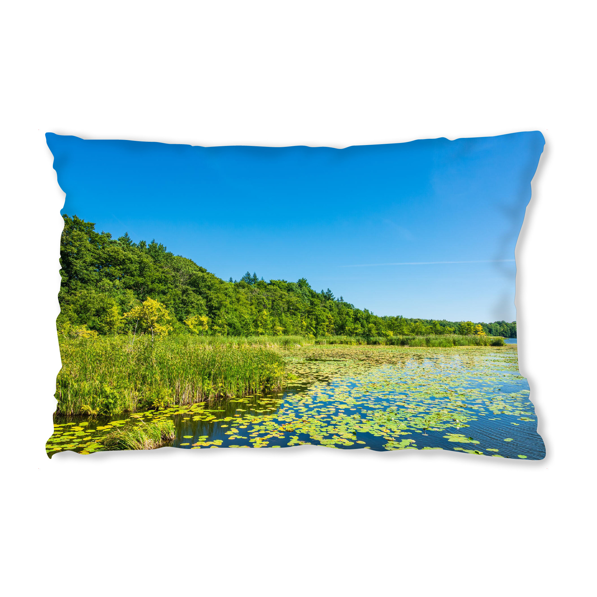 Design-Kissen "See und Seerosen" artboxONE - Natur,Floral